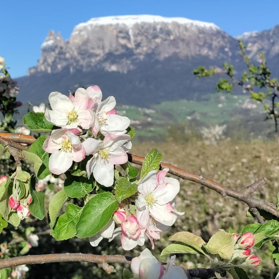 Gasthof Wunder Auna di Sotto Εξωτερικό φωτογραφία